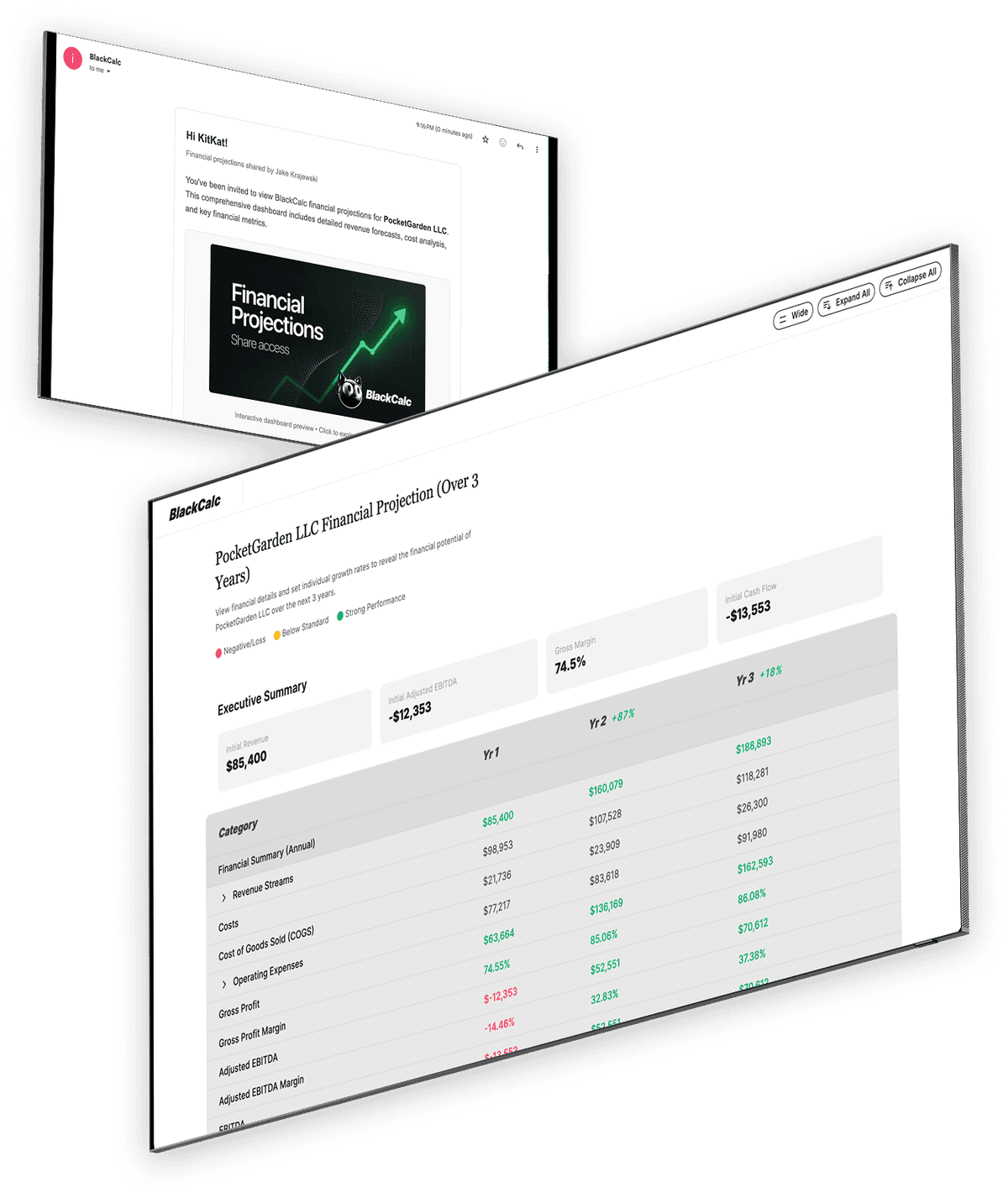 Email sharing interface for financial projections